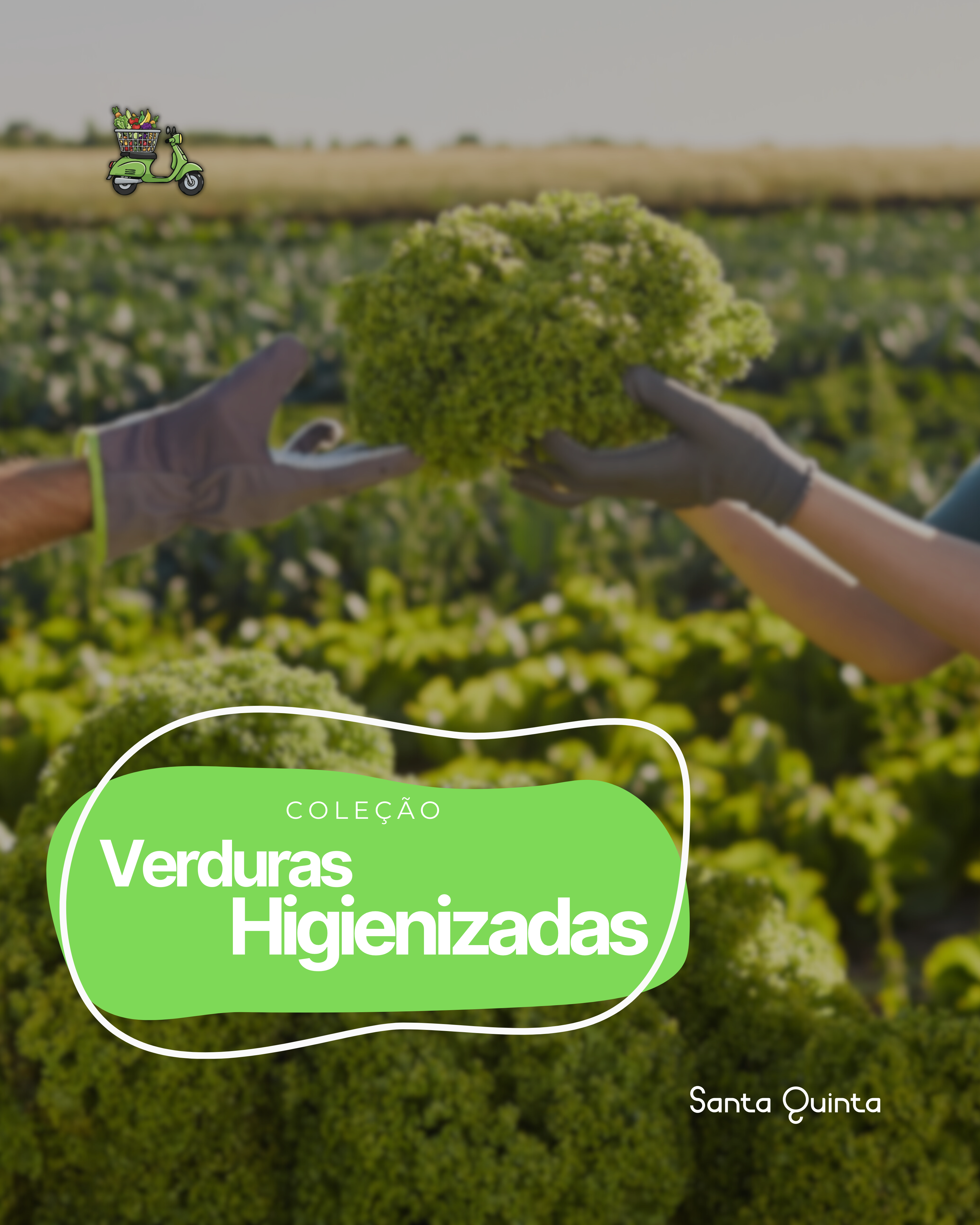 Verduras Higienizadas
